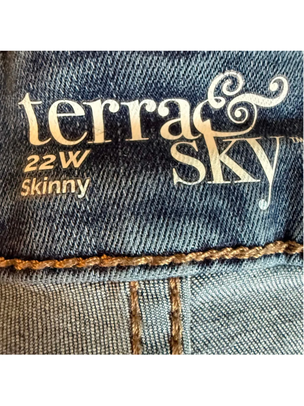 Women's Terra & Sky Skinny Jeans Blue Size 22W